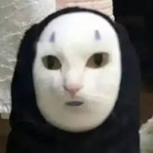 Meet your Posher, Norma